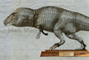 Dinosaur Art of Mark Musy 12