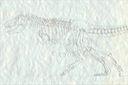 Dinosaur Art of Mark Musy 2