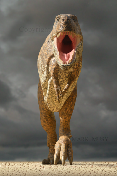 T-rex L Attack Sky 03 web
