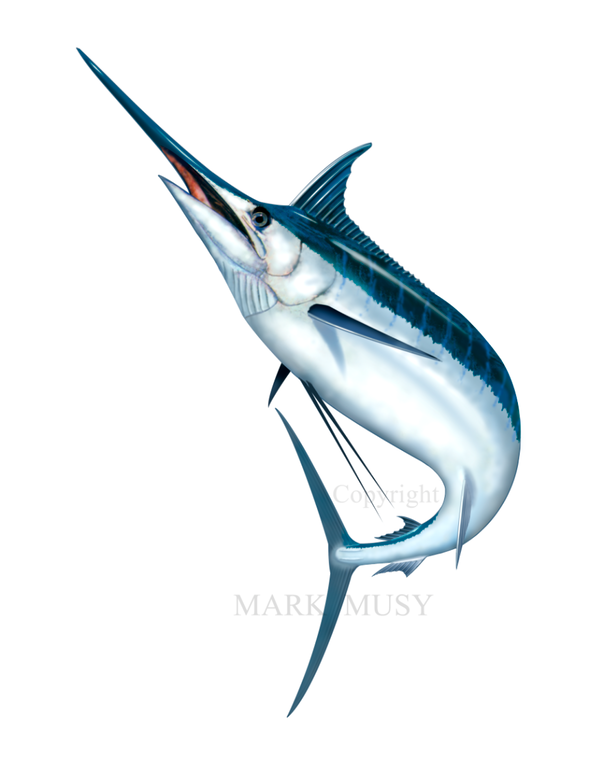 Blue Marlin OK 12L